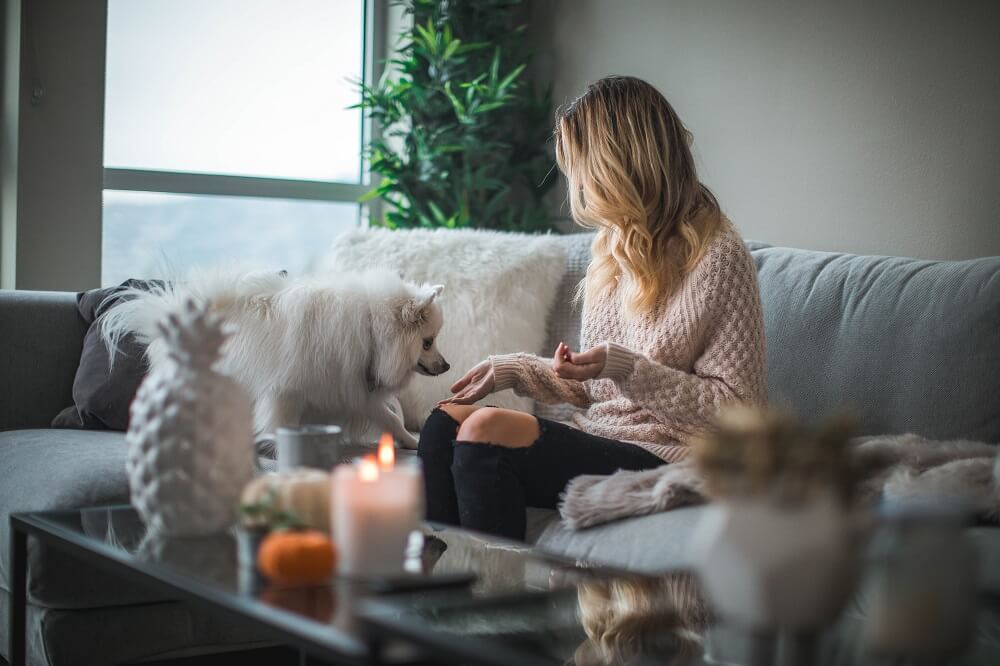 Apartments that allow dogs over hot sale 50 pounds